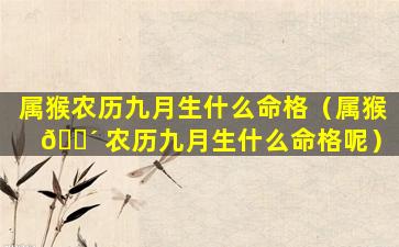 属猴农历九月生什么命格（属猴 🌴 农历九月生什么命格呢）